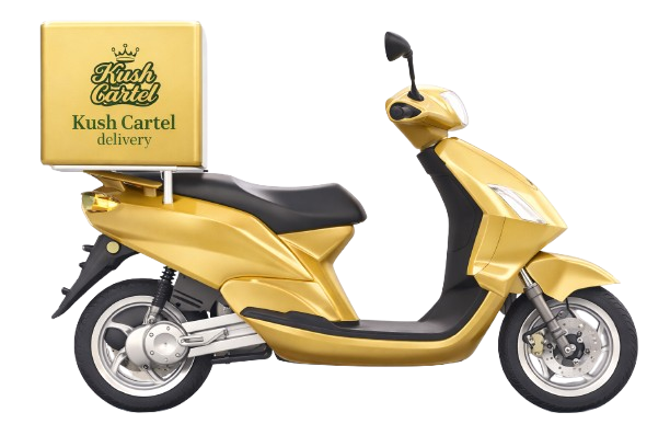 Delivery Bike